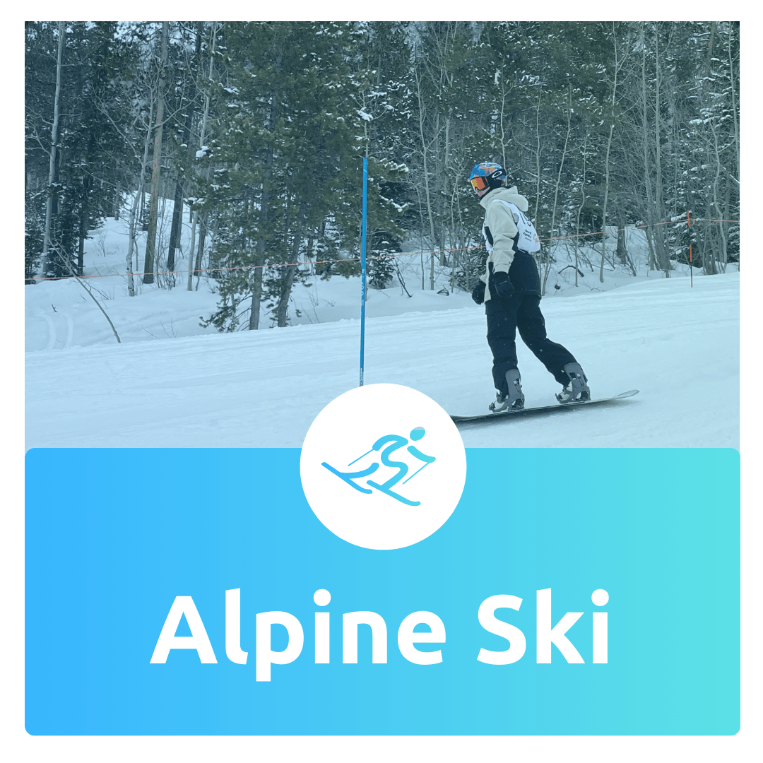 alpineskiicon